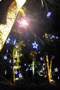 Kew Gardens Lights-1080226