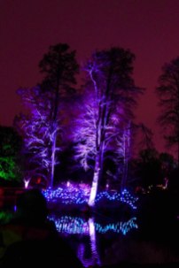 Kew Gardens Lights-1080238