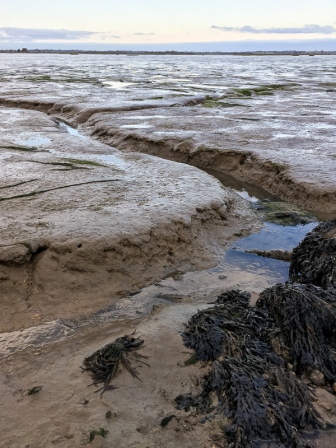 Water channels in the mud